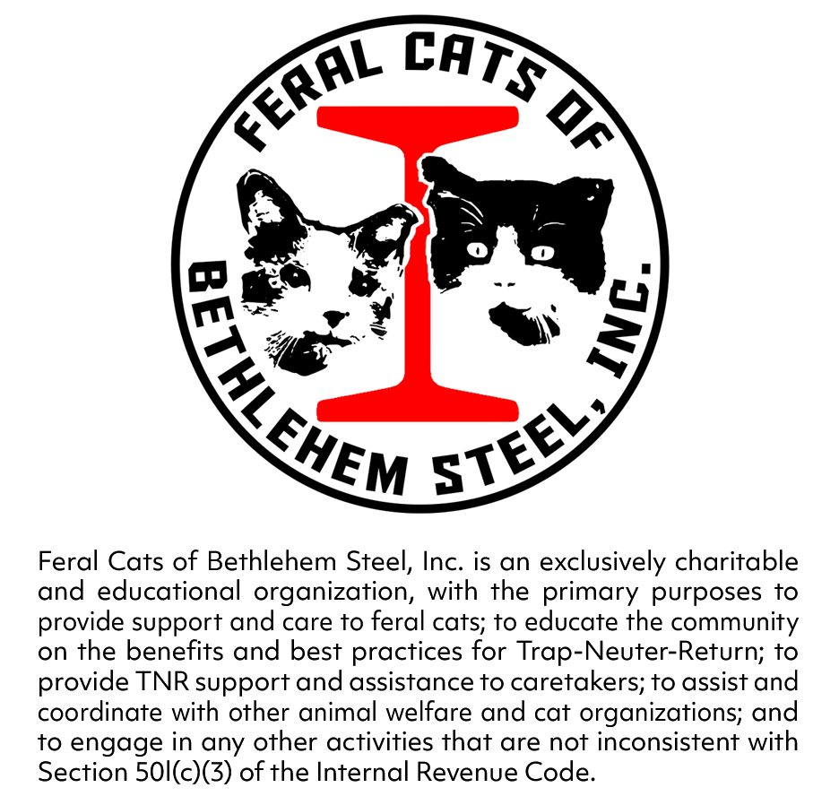 Feral Cats of Bethlehem Steel